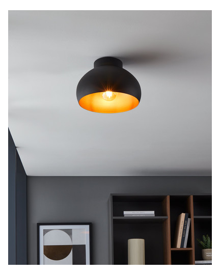EGLO Wand und Deckenleuchte       900555 