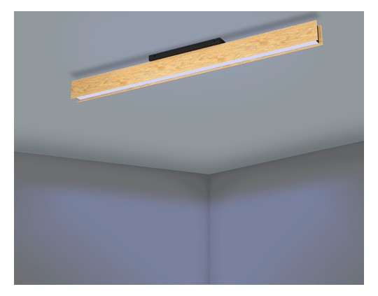 EGLO Wand und Deckenleuchte       900387 