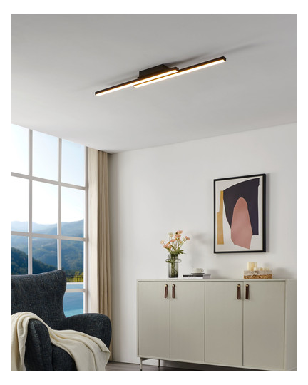 EGLO Wand und Deckenleuchte       900079 