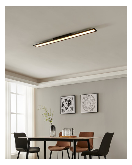EGLO Wand und Deckenleuchte       900095 