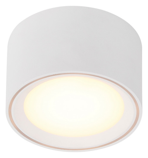 LED-Deckenanbauleuchte FALLON 5,5W 2700K 500lm ws Konv IP20 Ø100x60mm