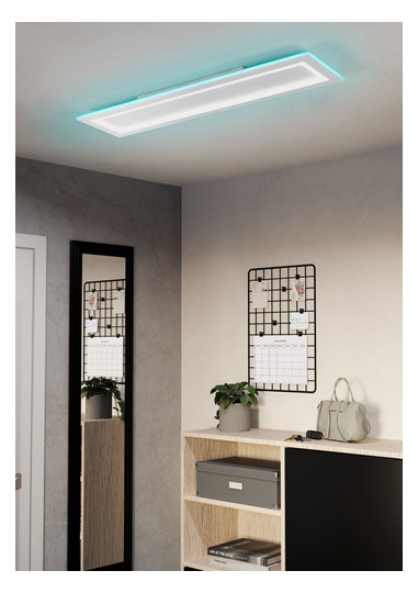 EGLO Wand und Deckenleuchte       900485 