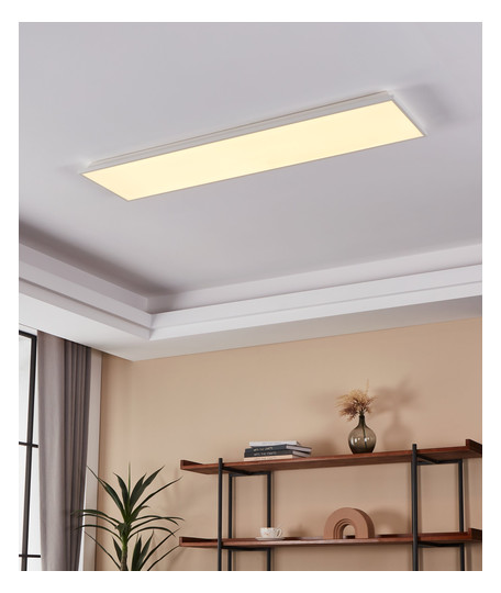 EGLO Wand und Deckenleuchte        99549 