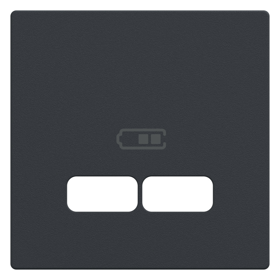 Zentralplatte USB 2f anth Klemmbef m.Aufdr Zentralplatte USB 2f anth Klemmbef m.Aufdr