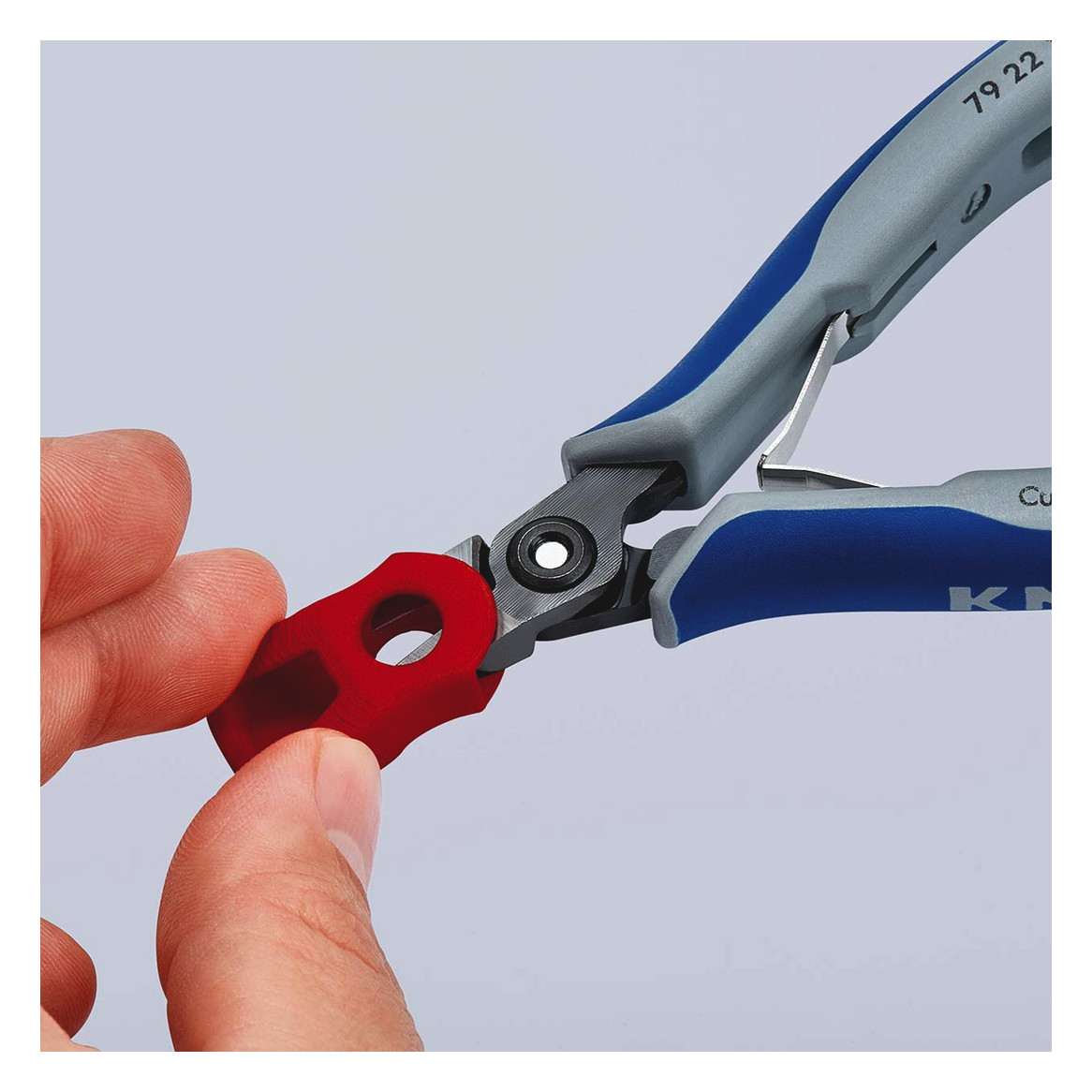 Seitenschneider isol