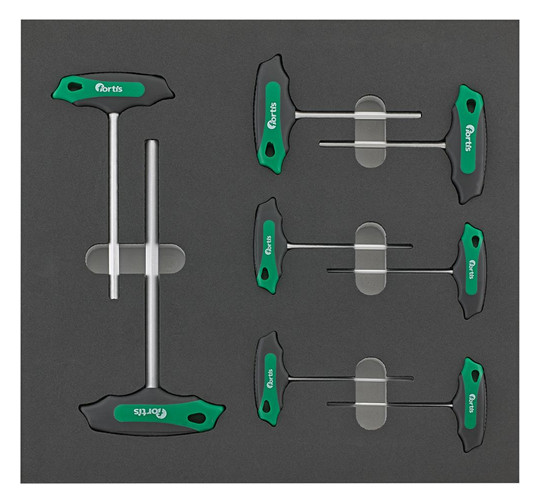 fortis-Werkzeugmodul 2/3 - 8-teilig, T-Griff Innensechskant