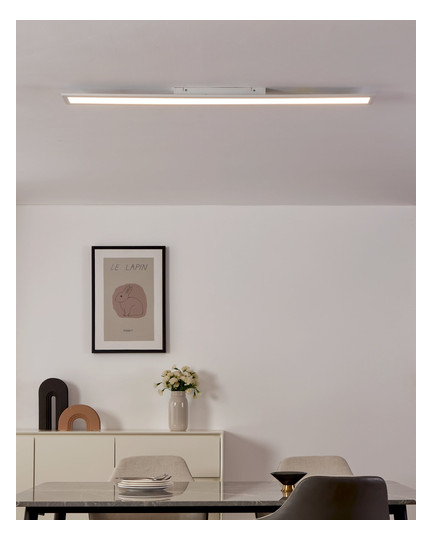EGLO Wand und Deckenleuchte       900048 