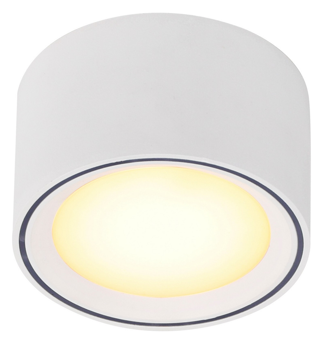 LED-Deckenanbauleuchte FALLON 5,5W 2700K 500lm ws Konv IP20 Ø100x60mm