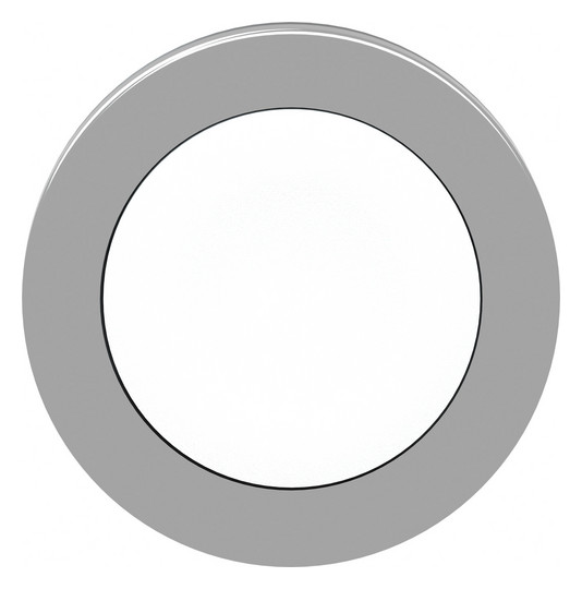 Drucktaster Front 1f ws Ø30,5mm rnd IP66 Tastend