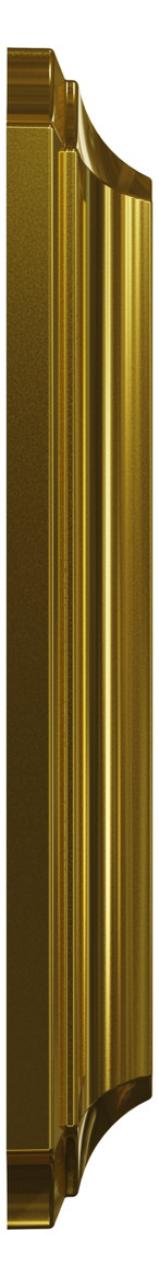 Rahmen 1f go glz Metall Edst