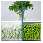 Kühl-/Gefrierkombi Stand Serie 2 E Edst 216/89l 239kwh 1860x600x660mm NoFrost