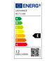Ledvance DULUX LED L24 HF & AC MAINS V 
