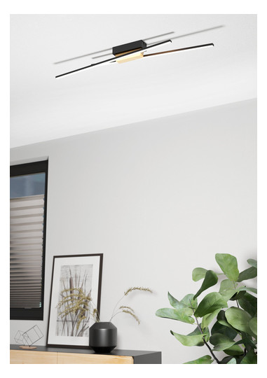EGLO Wand und Deckenleuchte       900488 