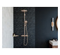 hansgrohe Seifenkorb AddStoris Wandmontage, Metall, brushed bronze