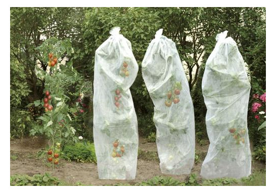 Bild Tomatenreifevlies 0,8x5m 17g weiß - floraworld-0