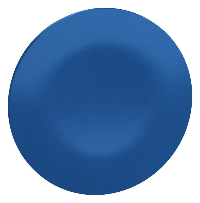 Tastenplatte rnd Ø22mm bl fl