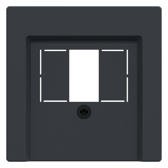 Zentralplatte TAE 2f System M anth Schraubbef