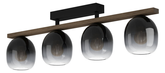 EGLO Wand und Deckenleuchte       900185 
