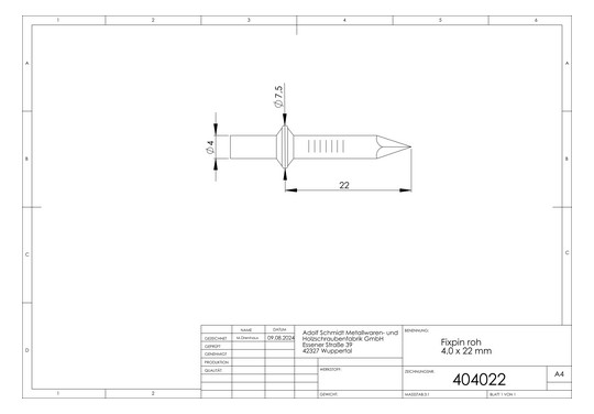ASW Fixpin 4,0 mm x 22 mm, Stahl roh, direkt in den Rohbeton