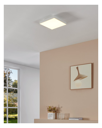 EGLO Wand und Deckenleuchte       900057 