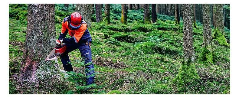 Bild Akku-Kettensäge GP-LC 36/40 Li BL-Solo - EINHELL-2