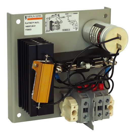 Schneider Vigilohm               1460872 