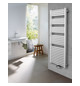 Zehnder Design-Heizkörper Zeno ZND-150-100-05, 1421 x 1000 mm, Inox Look