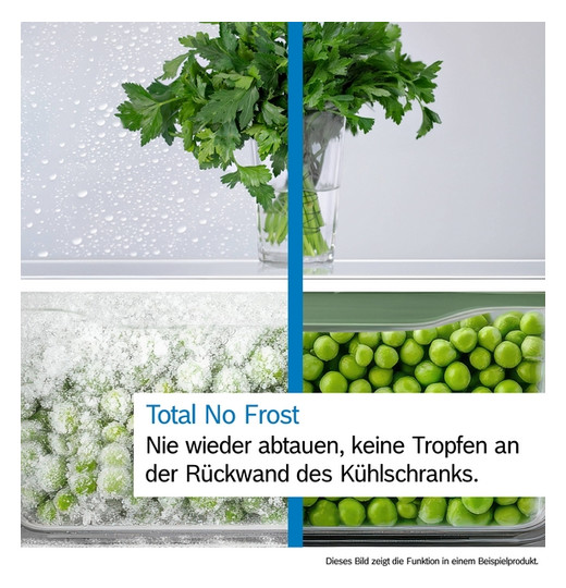 Kühl-/Gefrierkombi Stand E ws 215/87l 239kwh 1860x600x660mm NoFrost