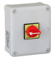 Hauptschalter 80A 3p IP65 m.Geh Komplettger_im_Geh
