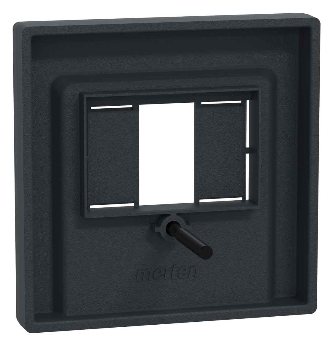 Zentralplatte TAE 2f System M anth Schraubbef