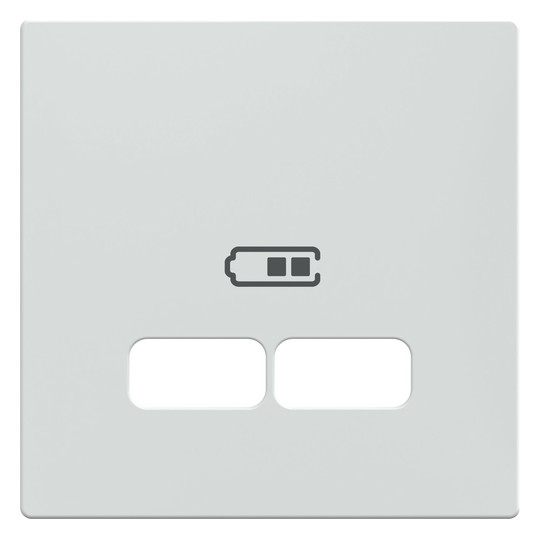 Zentralplatte USB 2f akws Klemmbef m.Aufdr aktivweiß