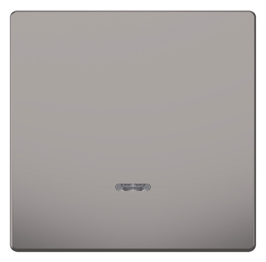 Kontrollwippe Schalter System Design ni metallic