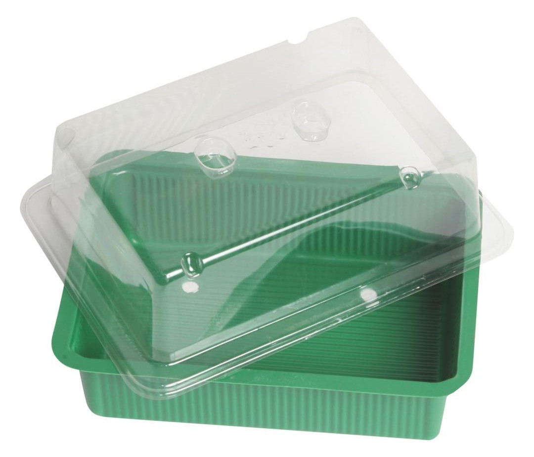 Bild Mini-Treibhaus 20x15cm o. Untersetzer - floraworld-0