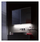 EMCO Aufputz-Lichtspiegelschrank pure LED 1200 x 728 mm, Aluminium, 3 Türen
