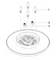 Dornbracht Regenbrause d= 300mm, für Deckenanbindung, Messing gebürstet