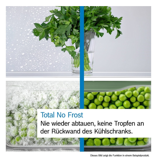 Kühl-/Gefrierkombi Stand E ws 215/87l 239kwh 1860x600x660mm NoFrost