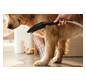 hansgrohe Hundeduschbrause 150 DogShower 3jet, mattschwarz hansgrohe Hundeduschbrause 150 DogShower 3jet, mattschwarz