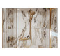 hansgrohe Seifenkorb AddStoris Wandmontage, Metall, brushed bronze