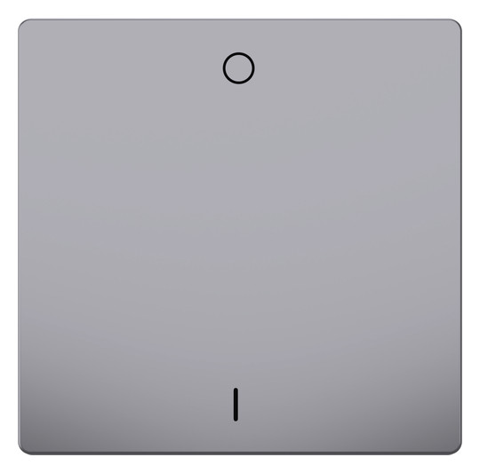 Wippe Schalter System Design edst glz Kennz.0/1