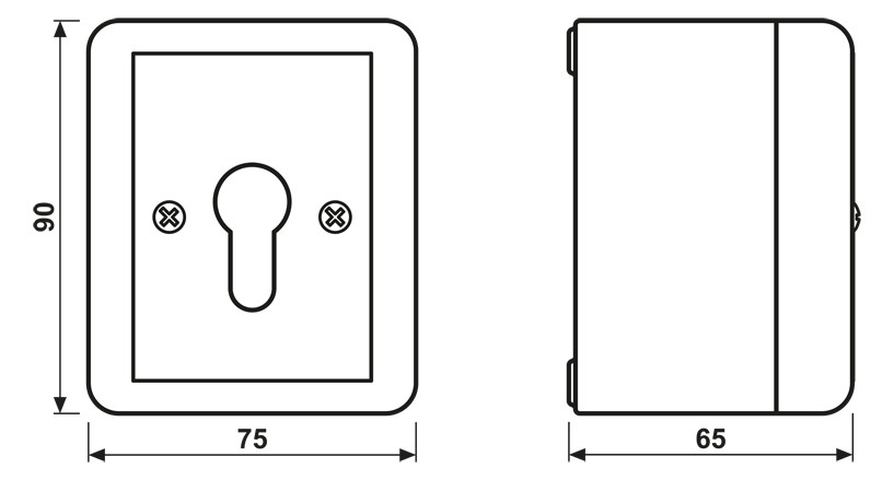 Schlüsseltaster-Modul gr WG 800 IP44 glz 1W AP Schlüsseltaster-Modul gr WG 800 IP44 glz 1W AP