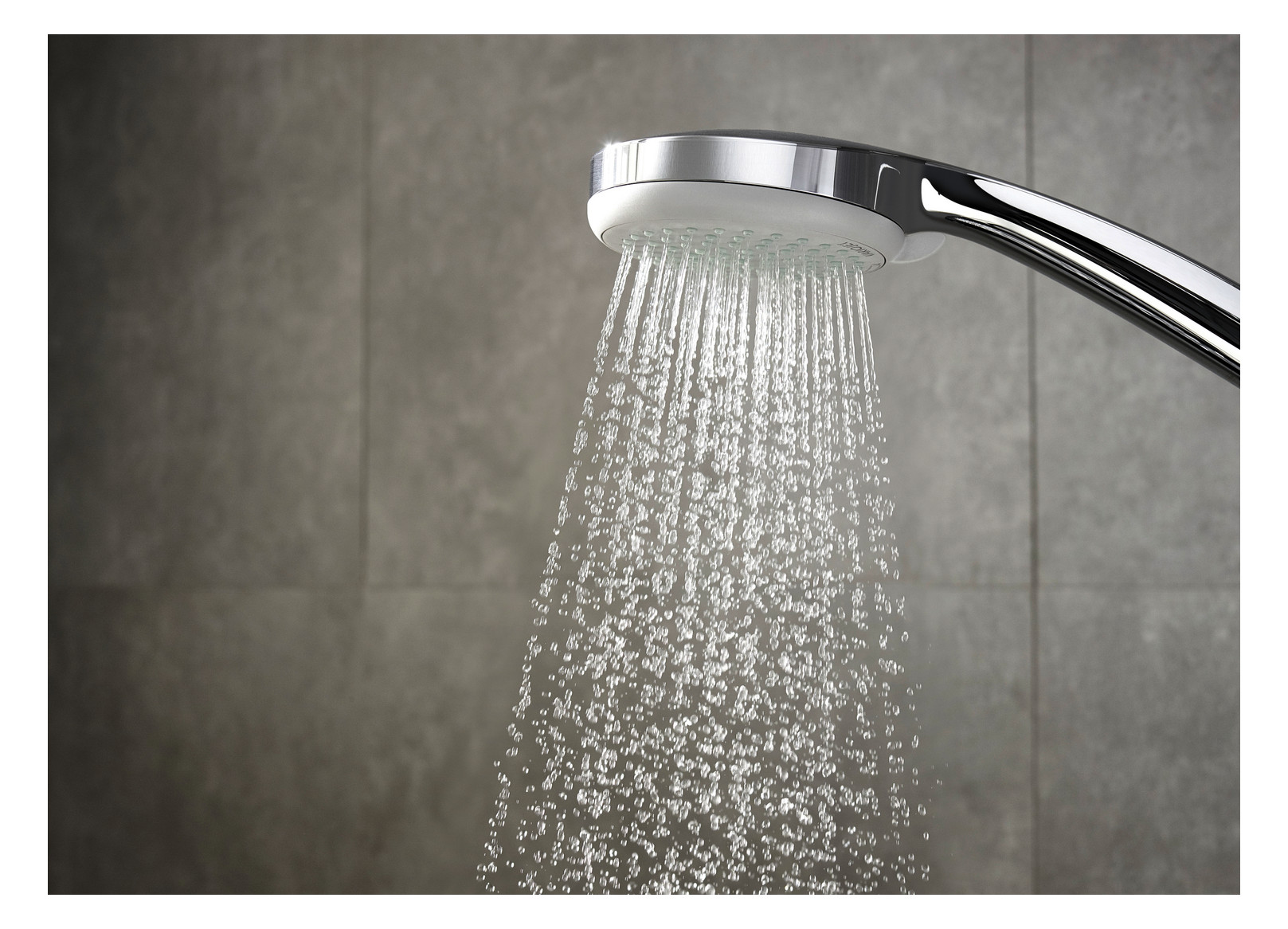 hansgrohe Handbrause Croma 100 Vario chrom