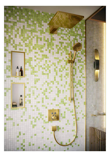 hansgrohe Zahnbecher AddStoris mit Glas, Wandmontage, Metall, polished gold optic