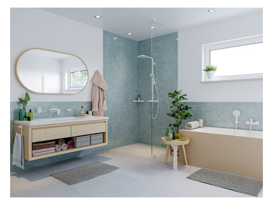 hansgrohe Seifenkorb AddStoris Wandmontage, Metall, mattweiß