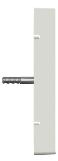 Zentralplatte Ant.dose 2f System M polws Schraubbef