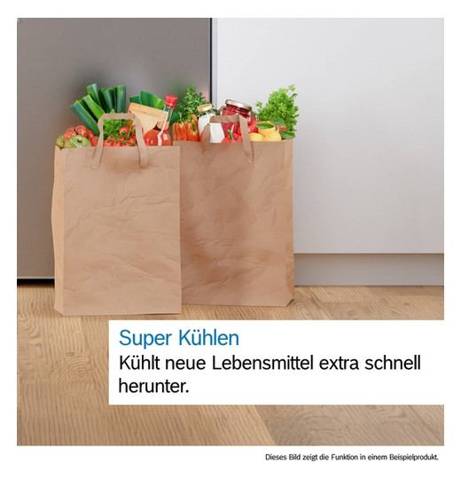 Kühlschrank EB E 204l N1225mm integr ws Schlepp 101kwh B541mm H1221mm