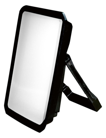 LED Bauleuchte Hamburg