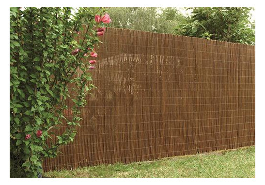 Bild Sichtschutz Weide300 x 18 0 cmclassic ti kel - floraworld-0