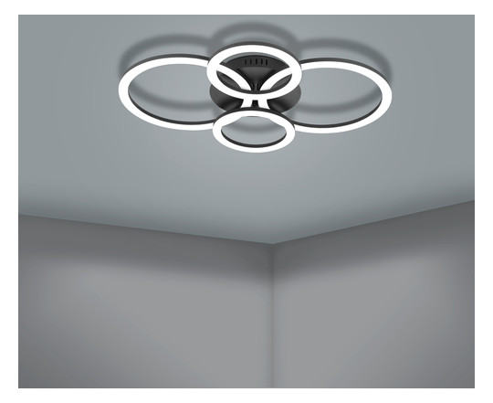 EGLO Wand und Deckenleuchte       900319 