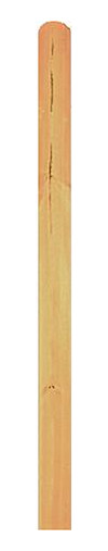 Bild DAAN-Serie Lamelle 20 x 145 x 1800 mm, K opf gerundet 20er Set kdi grün - n.a.-0