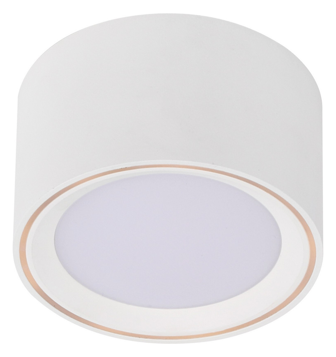 LED-Deckenanbauleuchte FALLON 5,5W 2700K 500lm ws Konv IP20 Ø100x60mm